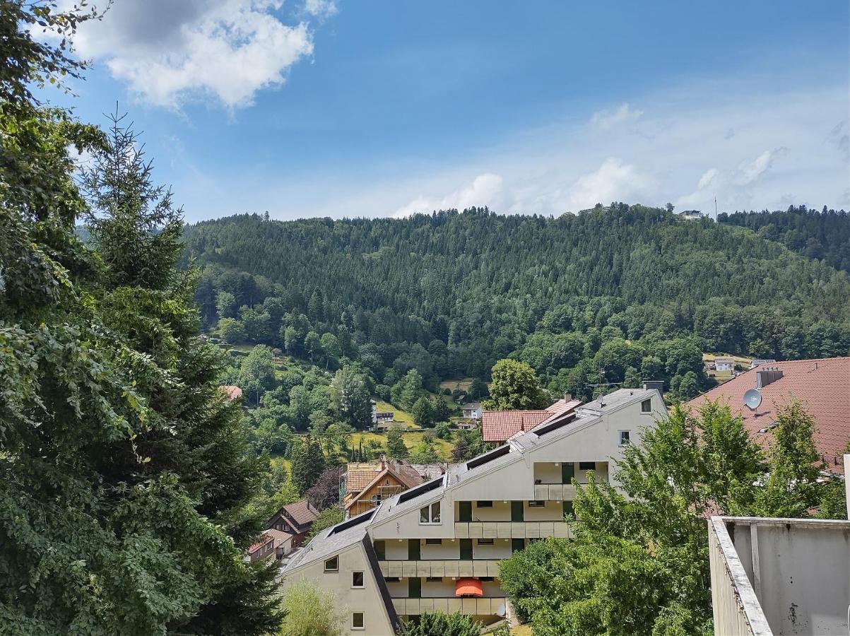 Ein-Zimmer Apartment Mit Aussicht Bad Wildbad Εξωτερικό φωτογραφία